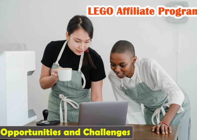 The LEGO Affiliate Program: Opportunities and Challenges